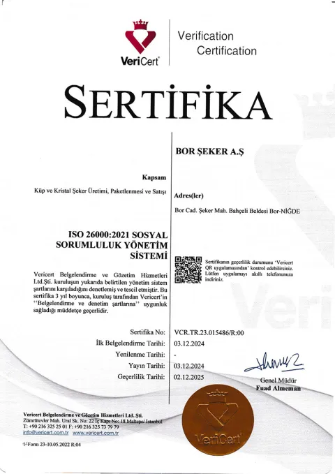 ISO 26000:2021