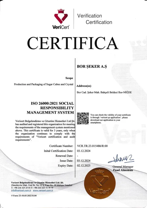 ISO 26000:2021